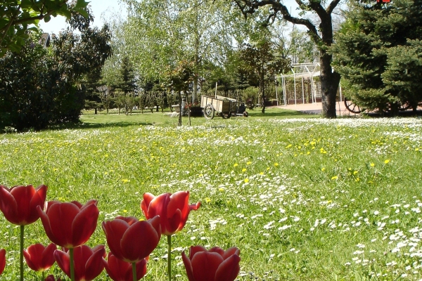 Il Carrettino Country Hotel (Tortona)